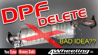 DPF DELETE, BAD IDEA?? removing a Diesel Particulate Filter