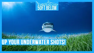 3 Underwater Photography Tips | Make Better Underwater Photos