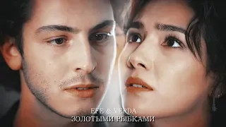 Verda & Efe (Şahin Tepesi) Золотыми рыбками