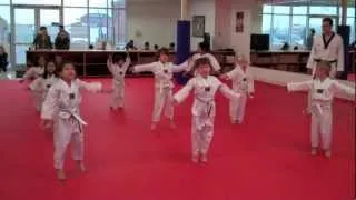 Master Kim's Tae Kwon Do - Little Tiger Class / Woodbury MN