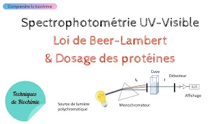 SPECTROPHOTOMÉTRIE UV-VISIBLE : LOI DE BEER-LAMBERT appliquée au DOSAGE DES PROTÉINES