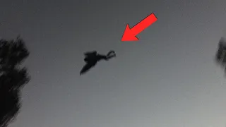 People Are FREAKING Out Over This Mothman Encounter...