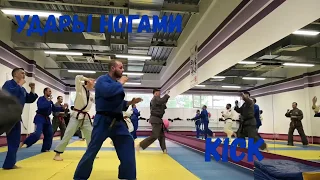 Hapkido Anmookwan kicks. Удары ногами в Хапкидо