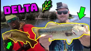 Fishing the CA DELTA (MY FIRST PUNCHING BASS!)