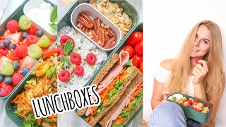 6 gesunde Lunchboxes + Kalorienangaben I Rezepte für die Arbeit, Schule, Uni I mealprep