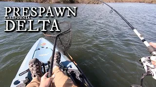 PRESPAWN Bass Fishing on the California Delta