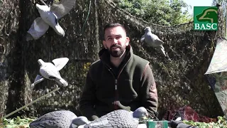 An Introduction to woodpigeon decoying with BASC's Terry Behan. Part 1.