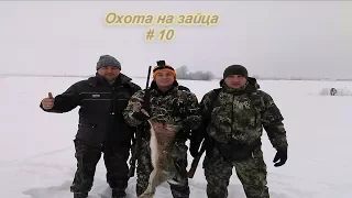 Выпуск №10/Охота на зайца