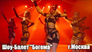 Шоу-балет Богема-Кошки