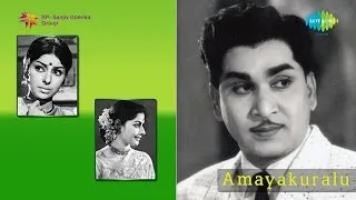 Amayakuralu | Kontepilla Korukunna song