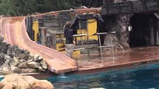 Espectáculo de leones marinos en Cabárceno