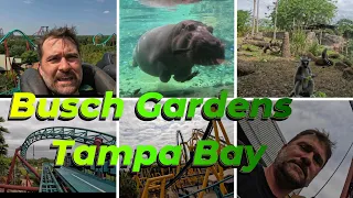 Busch Gardens Tampa Bay 2024 | Lets Get Fired Up AFT 2024🔥🆙 #florida #trevdevadventures