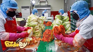 Amazing factory process / How to make kimchi in a kimchi factory