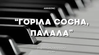 «Горіла сосна, палала» cover