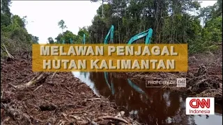 MELAWAN PENJAGAL HUTAN KALIMANTAN