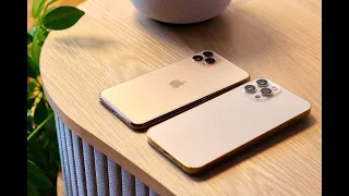 ULTIMATE GOLD Comparison - iPhone 12 Pro Max vs iPhone 11 Pro Max - Mat finish - Size difference