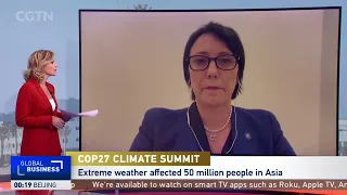 COP27: "Emission cuts are clearly not enough"