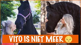 Vito is overleden | PaardenpraatTV