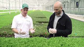 BrightFarms' Earth Day Greenhouse Tour