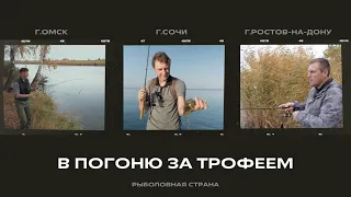 В погоню за трофеем / Рыболовная страна