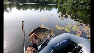 Ловлю огромных карасей с лодки в зарослях белых лилий.  Рыбалка на поплавок в стиле лайт..