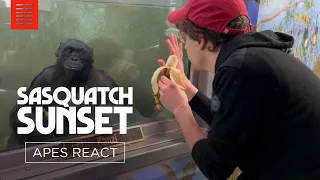 Apes' Sasquatch Sunset Trailer Reaction