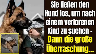 Sie ließen den Hund los, um nach einem verlorenen Kind zu suchen   Dann die große Überraschung...