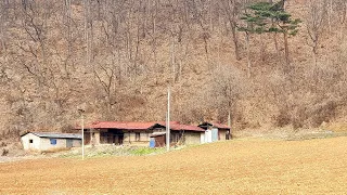 집앞으로는 개울물이 흐르고/ 양지바른 곳에 시골집 한채/정선빈집 an empty house mountain village korea