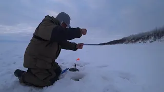 Первый лед 2019-2020 Леска трещит в пальцах. Рыбалка в Якутии.