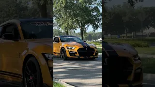 Shelby GT500 Rolling at Ford HeadQuarters! 🏎️