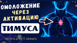 ТИМУС 2,0 СУПЕР ОМОЛОЖЕНИЕ🔆ЧАСТОТЫ Д-РА ШМИДТА🔆ИСЦЕЛЕНИЕ ЗВУКОМ