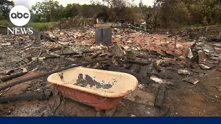 Death toll expected to rise as search for survivors continues from Maui wildfires | GMA