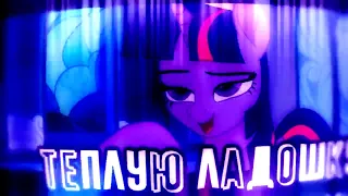 ( PMV ) Птицы _ MlpS