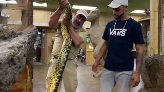 Anaconda ATTACK While Collecting Babies at Prehistoric Pets!
