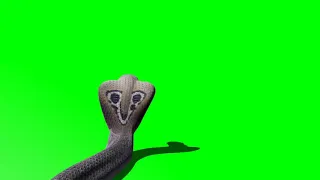 Snake green screen video 2023