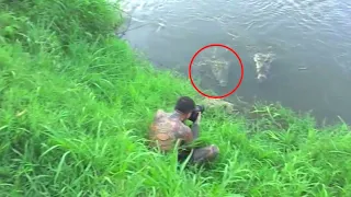 50 Scariest Crocodile Encounters of All Time 2022