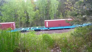 Грузовой поезд ВЛ80с на перегоне Жодино-Лесное