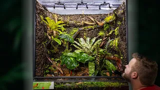 Creating a MASSIVE Poison Frog Vivarium