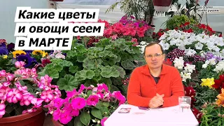 Что посеять на рассаду в марте! Овощи и цветы, которые мы сеем в марте.