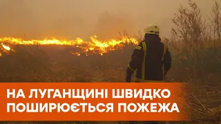 Масштабные лесные пожары в Луганской области. В Станице Луганской взрываются боеприпасы