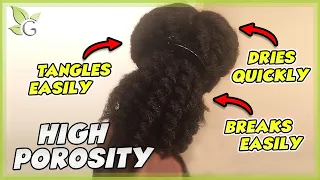 Is your hair HIGH POROSITY? How to know + Care tips