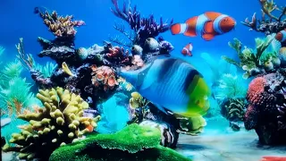 Музыка для сна и релакс - аквариум. Relax Aquarium. Music for meditation relaxation