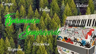 Evergreen accordion - 1 hour accordion dance (waltz, mazurca, polca, tango, fox, beguine)