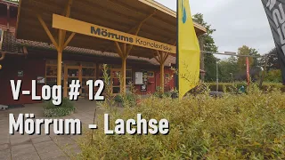 Schweden V-Log #12 | Lachse - Meerforellen - Mörrum - Abu Garcia | DIY mini-camper goes to Sweden