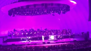 Cyndi Lauper . 07.13.2019  The Hollywood Bowl