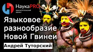 Языки папуасов на примере Берега Маклая – Андрей Туторский | Меланезия | Научпоп