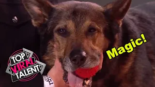 This CUTE POLICE DOG WOWS the Judges with a SURPRISING MAGIC TRICK!