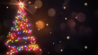 Christmas tree from a garland Light Bulb  Black Screen Motion Background. No Copyright Footage.