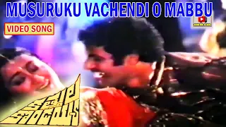 MUSURUKU VACHENDI | VIDEO SONG | KATHULA KODAIAH | BALAKRISHNA | SUMALATHA | TELUGU CINEMA CLUB