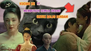 Apa jadinya jika kucing ini balas dendam ?? alur cerita film Legend of the demon cat